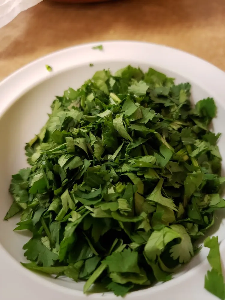 Cilantro
